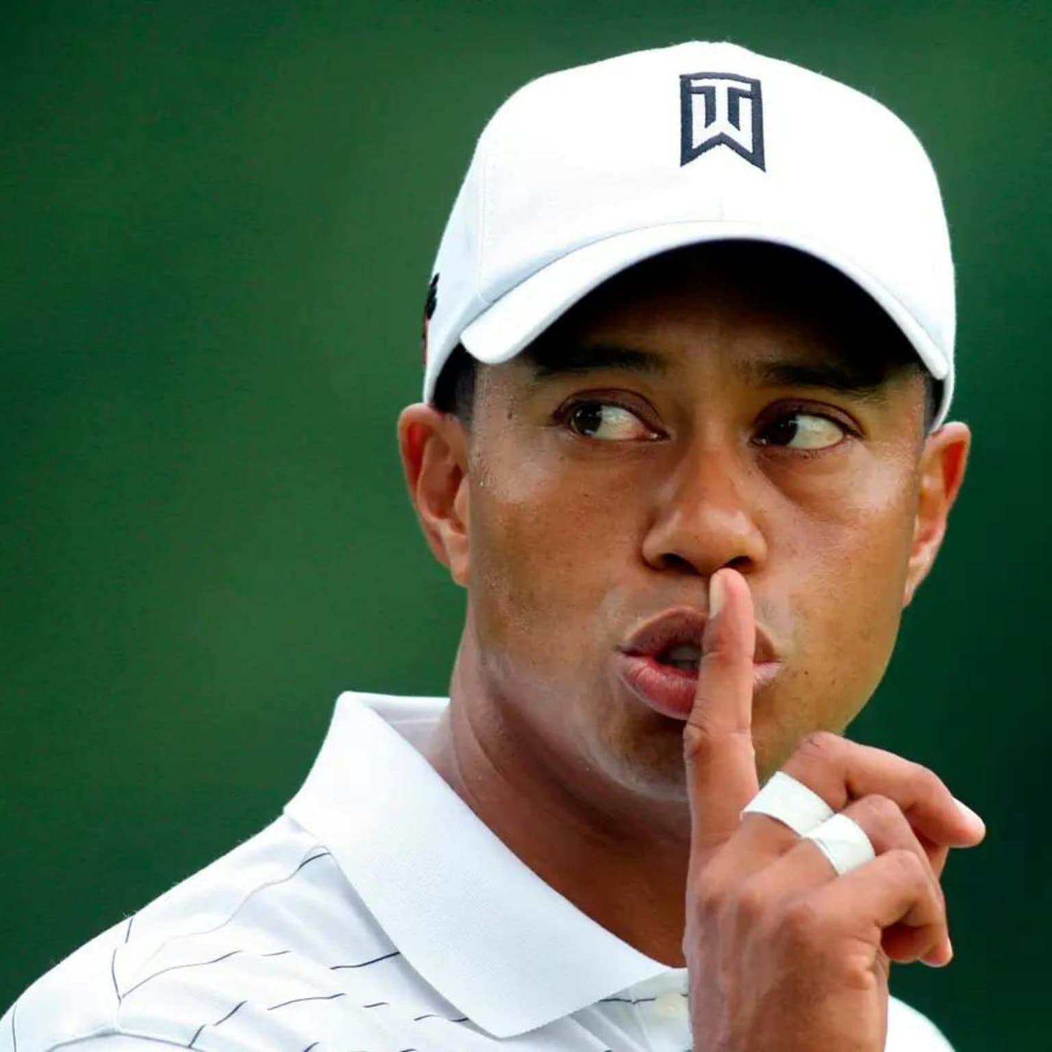 Tiger Woods: Get in the hole! artwork