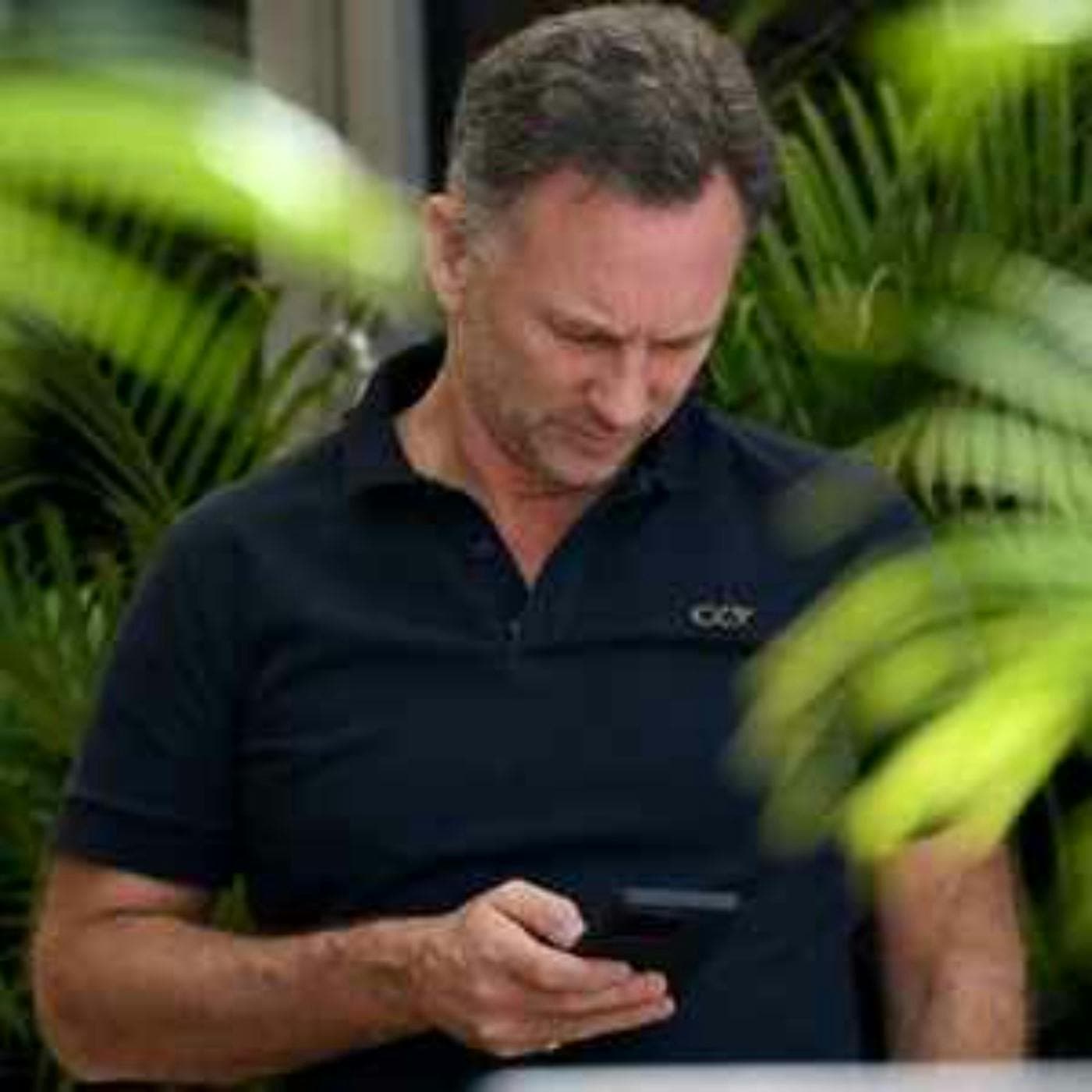 Surprise Shot: the Christian Horner WhatsApp leak artwork