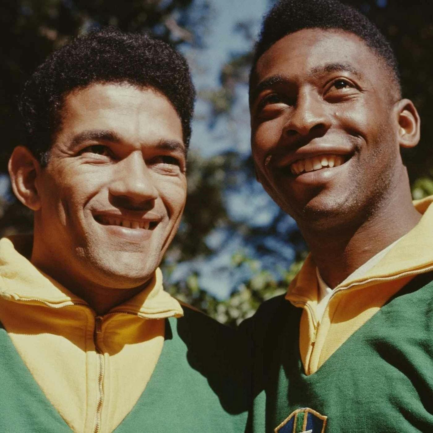 Garrincha: he lost his virginity to a goat (part one) artwork
