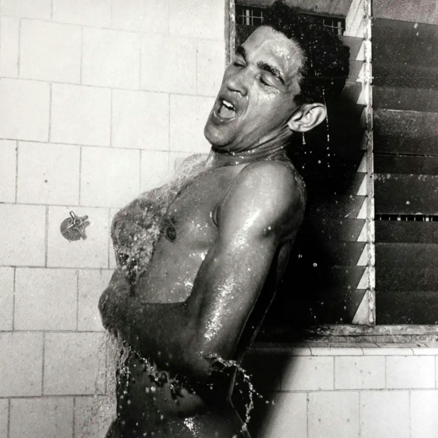 Garrincha: guns, goats and government brothels (part two) artwork