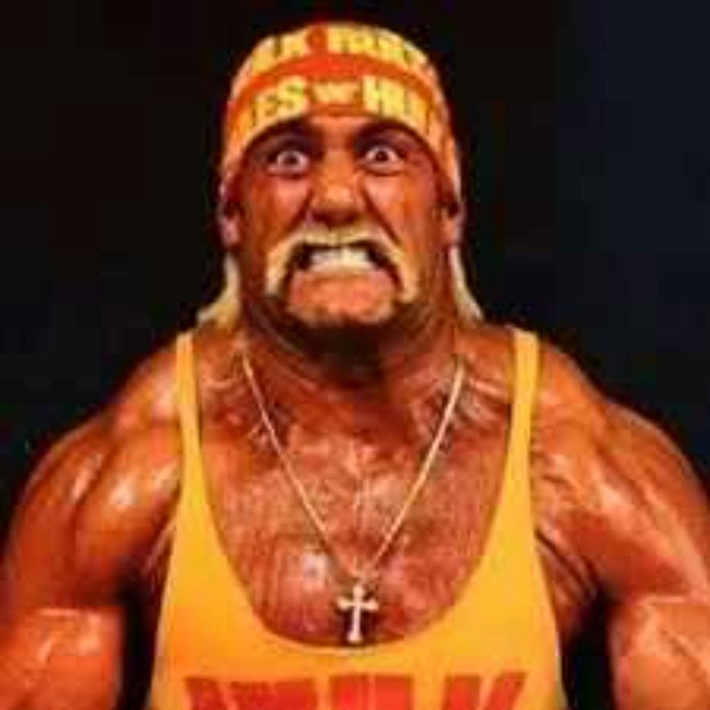 Hulk Hogan: sex, lies and videotape artwork
