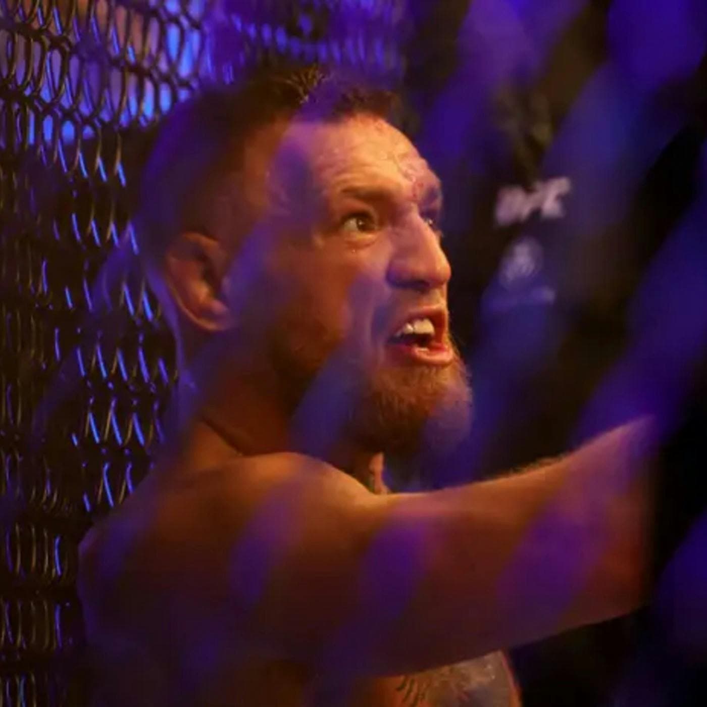 Conor McGregor tracks down his teenage tormentors artwork
