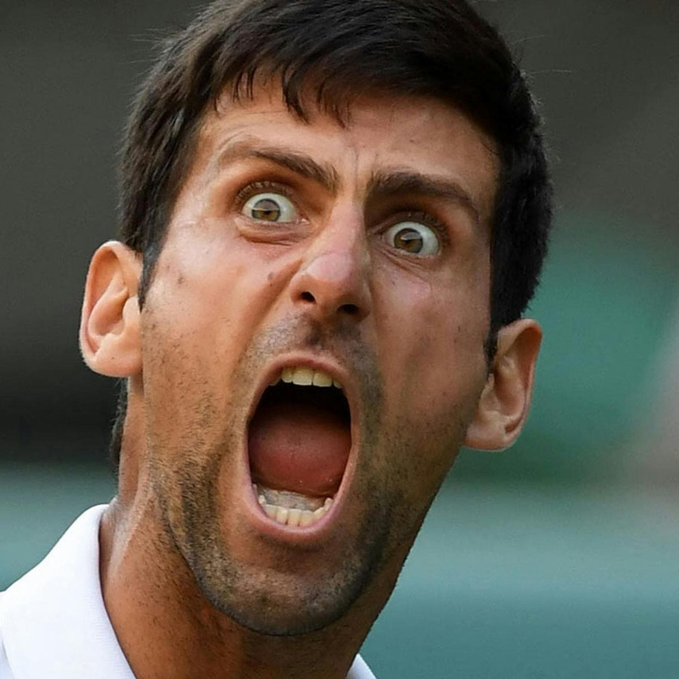 Novak Djokovic: magic potions and mafia car chases (with Josh Berry) | Part one artwork