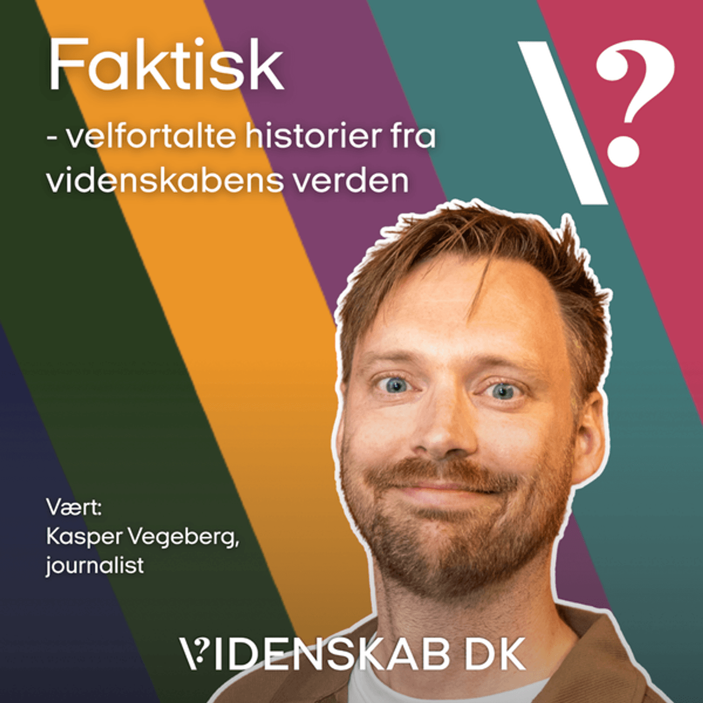 Faktisk: Looksmaxxing - er jeg smuk nok? artwork