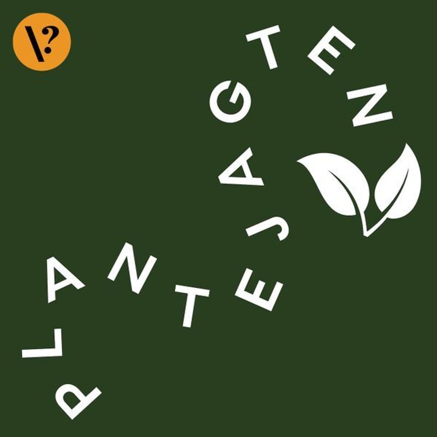 S8 Ep18: Efterårets farvespil i trækronerne forbereder træerne til vinterdvalen artwork