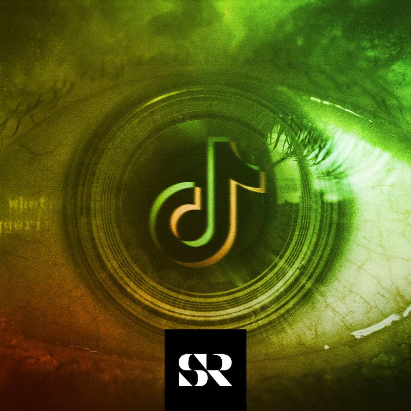 Spionmisstankarna mot Tiktok artwork