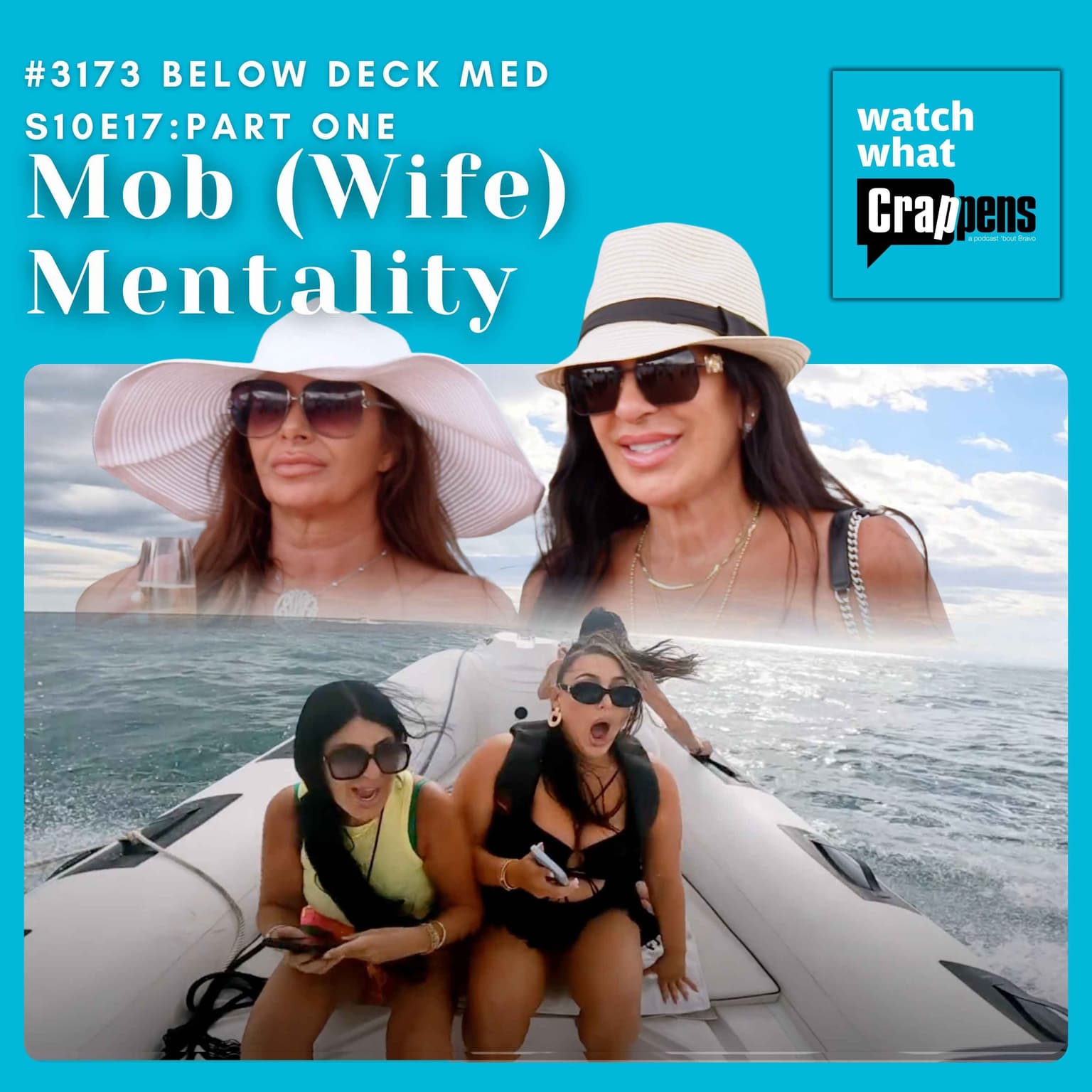 #3173 Below Deck Med S10E17 Part One: Mob (Wife) Mentality artwork
