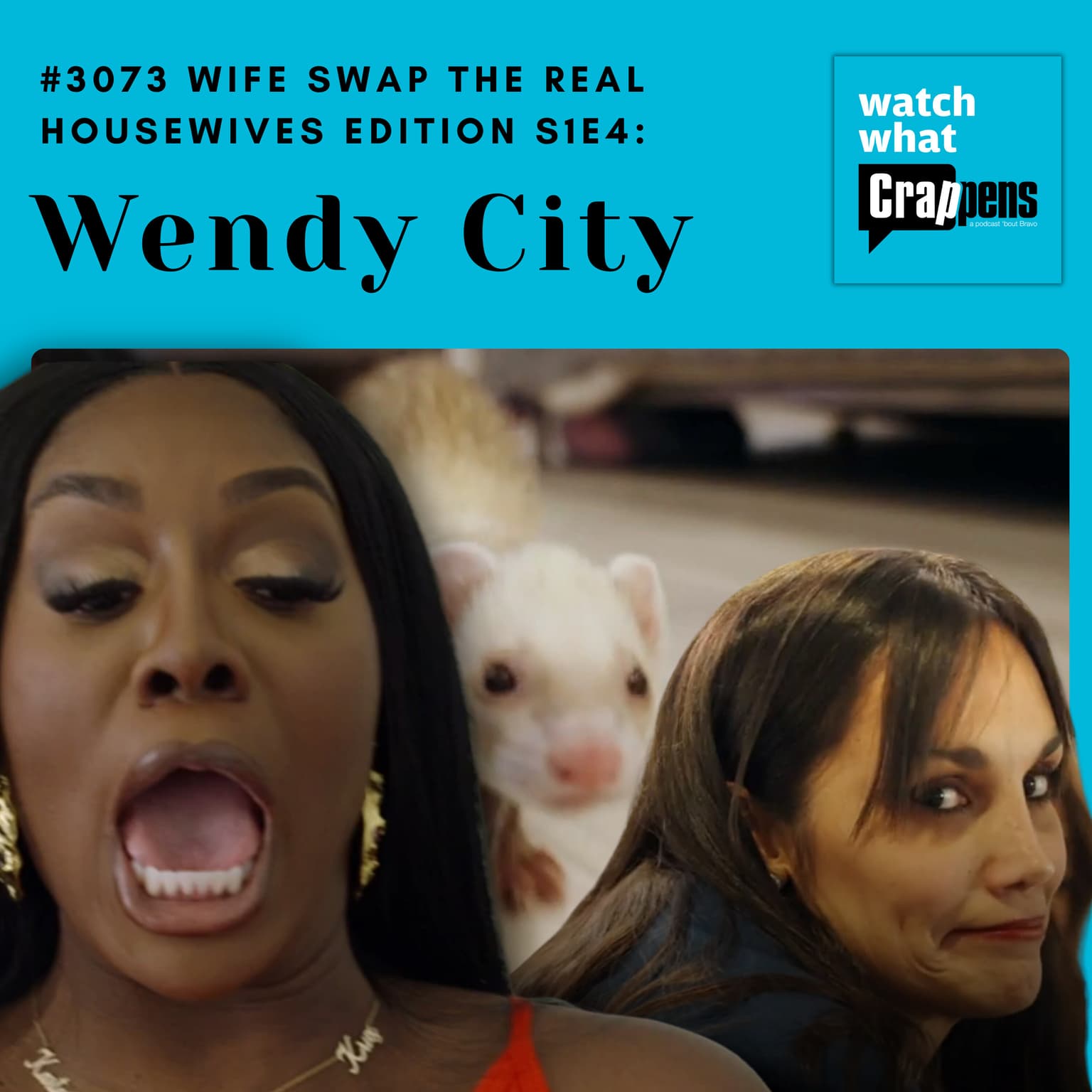 #3073 Wife Swap The Real Housewives Edition S1E4: Wendy City artwork