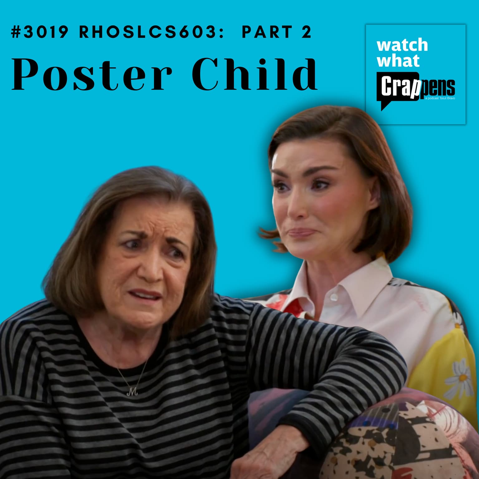 #3019 RHOSLC S603 Part 2: Poster Child artwork