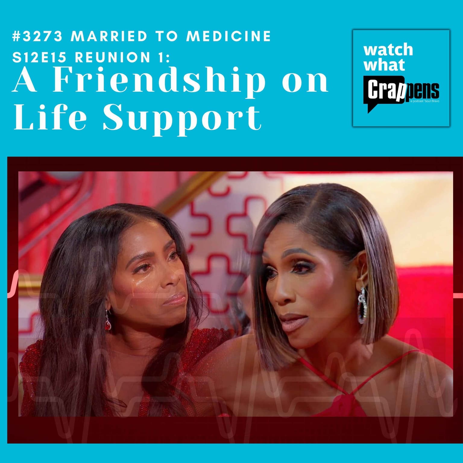 #3273 Married To Medicine S12E15: A Friendship on Life Support artwork