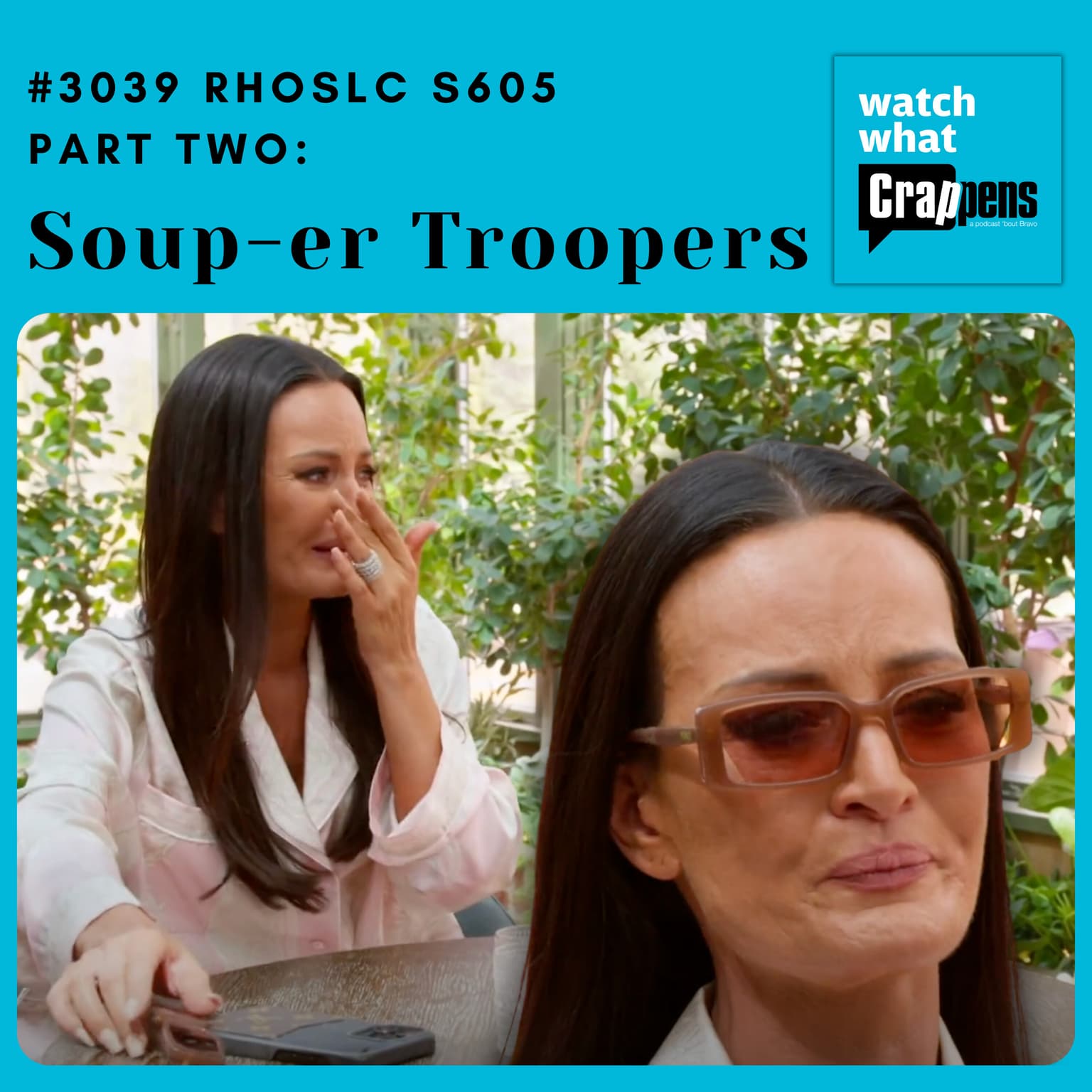 #3039 RHOSLC S605 Part Two: Soup-er Troopers artwork
