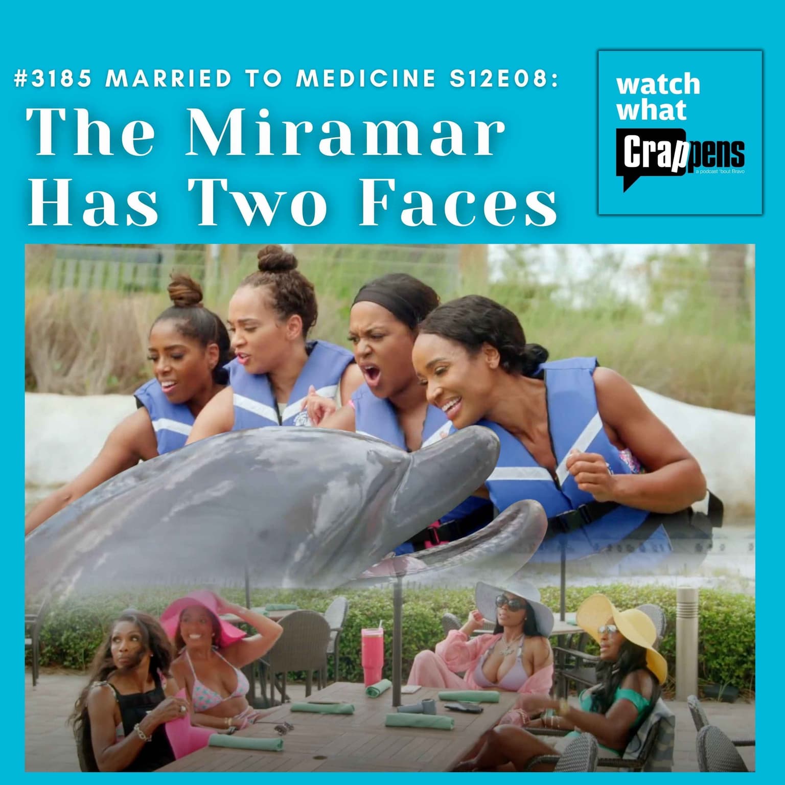 #3185 Married To Medicine S12E08: The Miramar Has Two Faces artwork