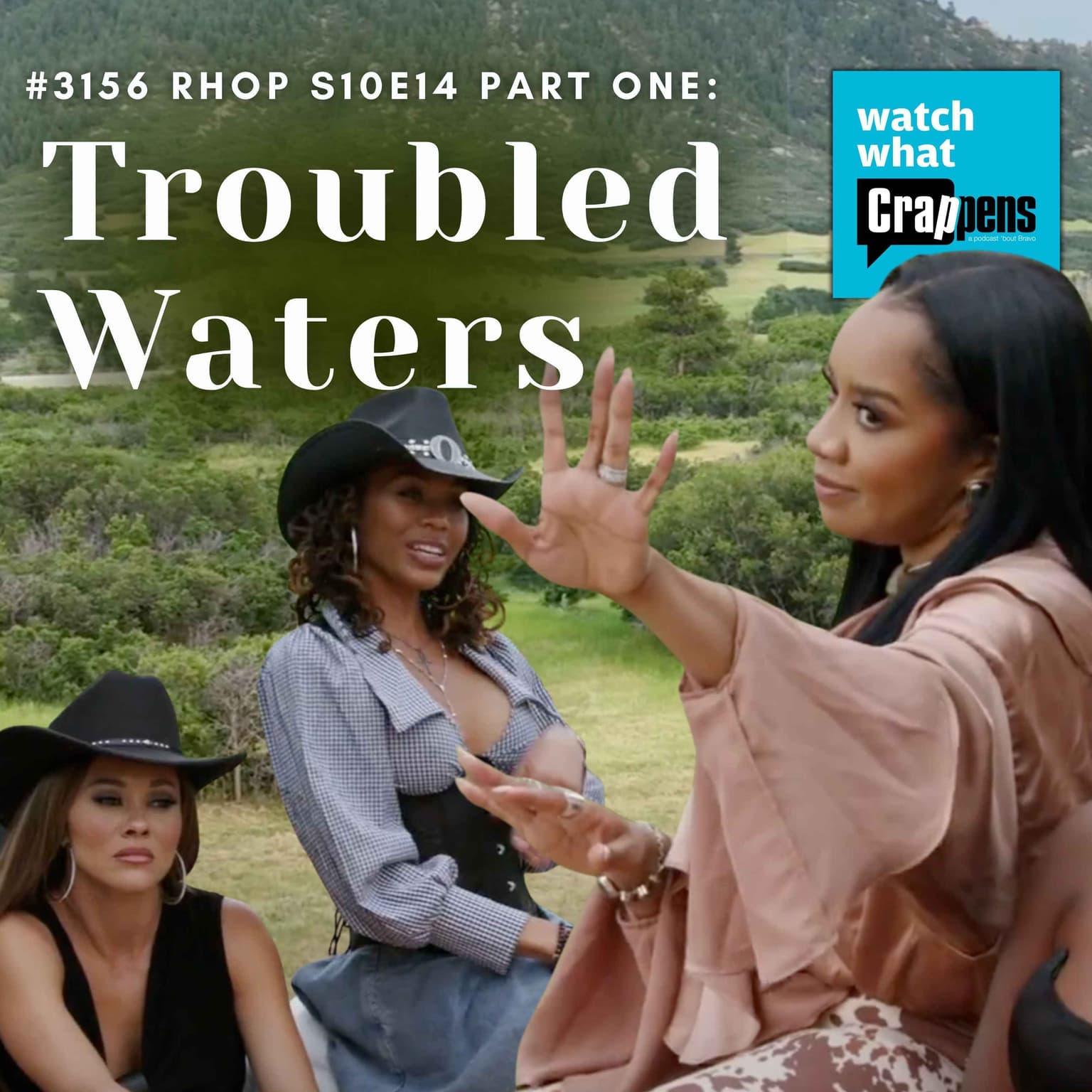 #3156 RHOP S10E14 Part One: Troubled Waters artwork