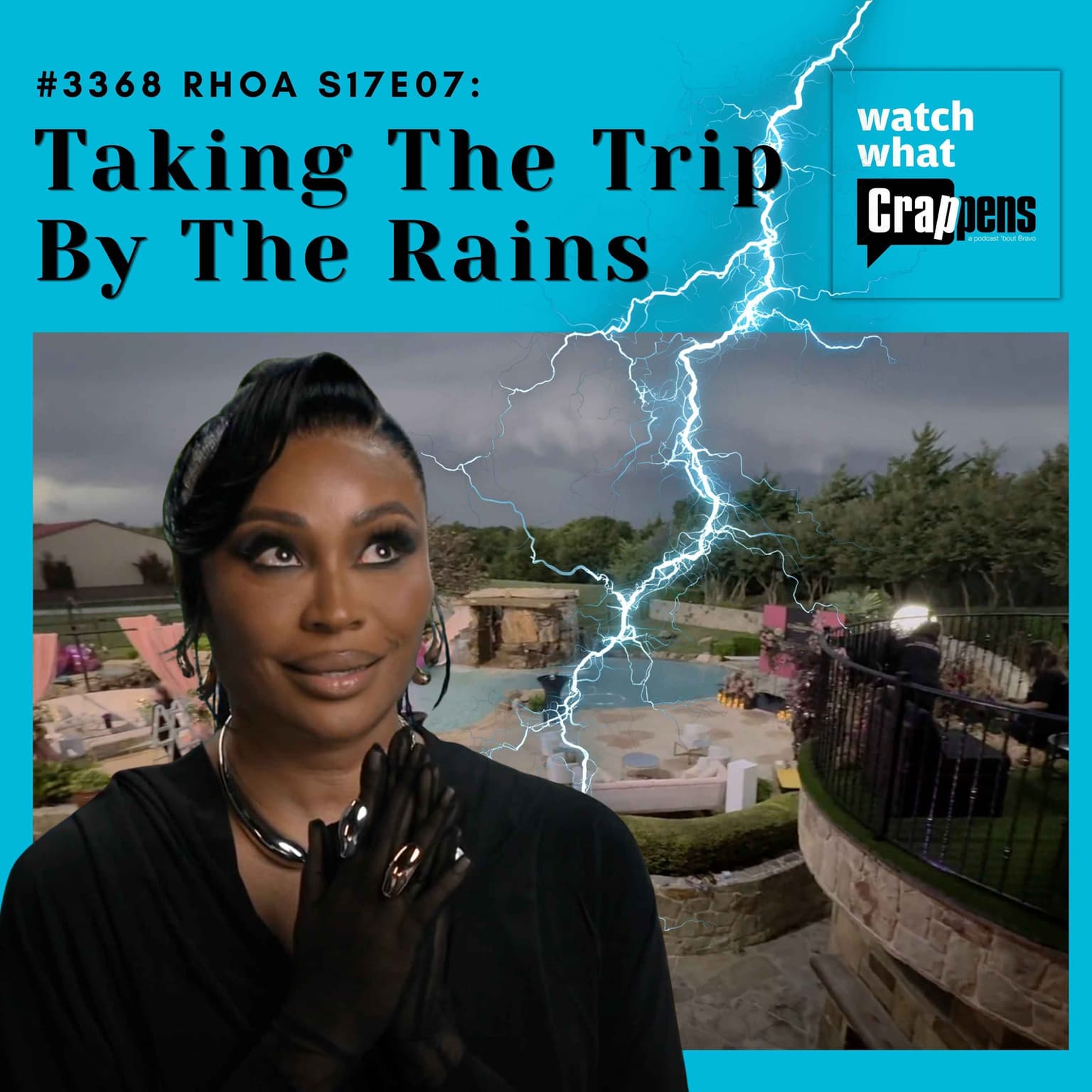 #3368 RHOA S17E07: Taking The Trip By The Rains artwork