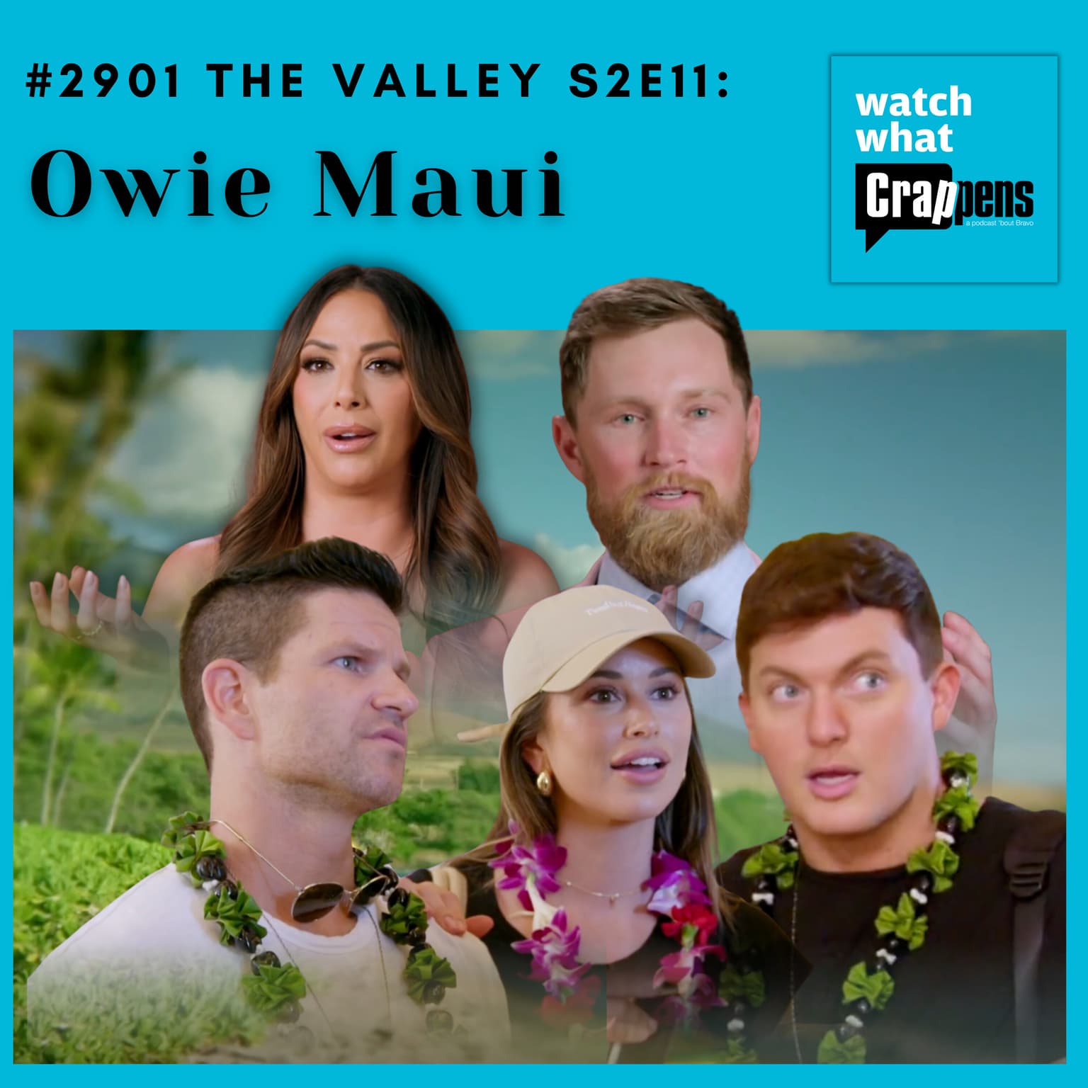 #2901 The Valley S2E11: Owie Maui artwork