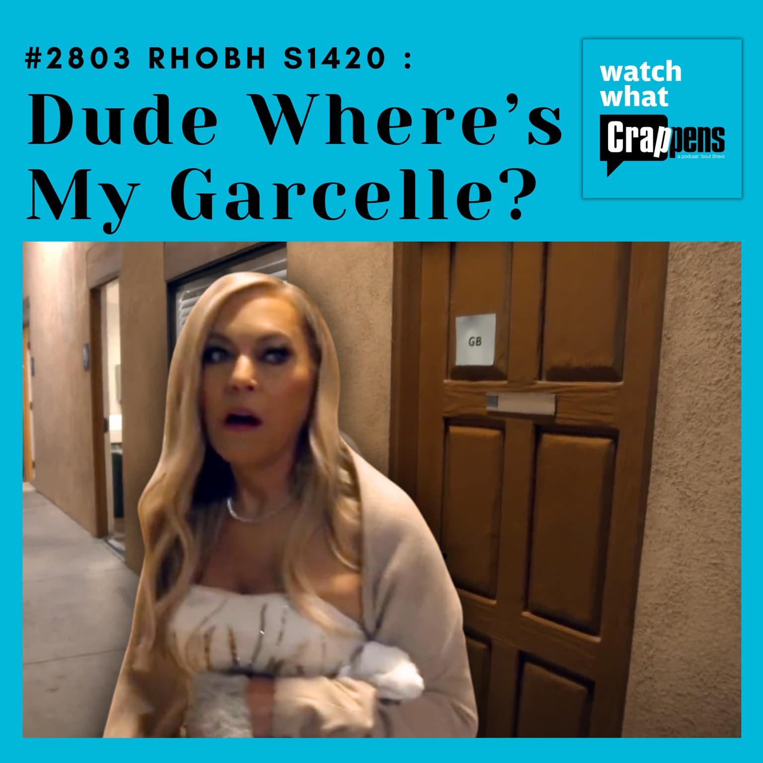 #2803 RHOBH S1420 : Dude Where’s My Garcelle? artwork
