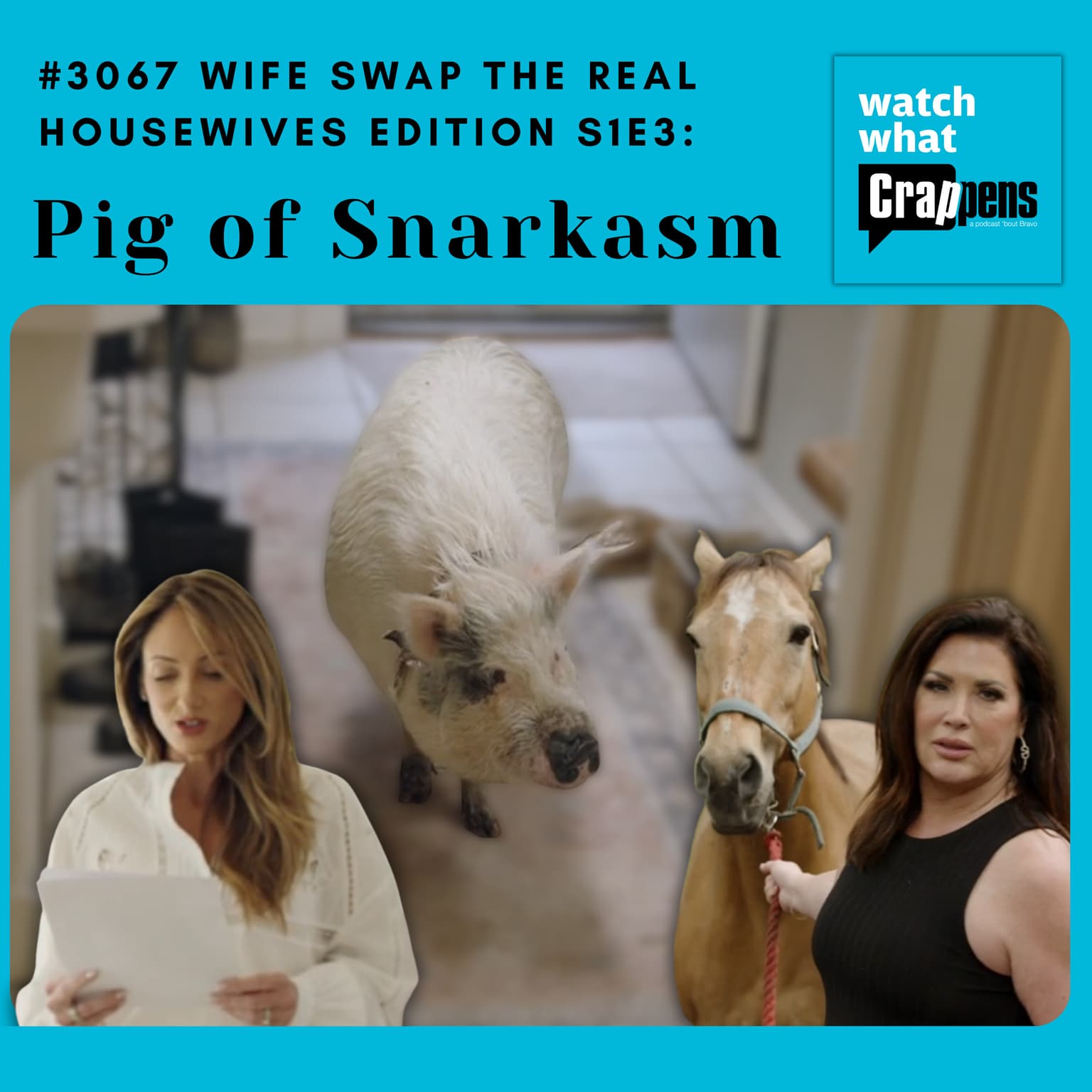 #3067 Wife Swap The Real Housewives Edition S1E3: Pig of Snarkasm artwork