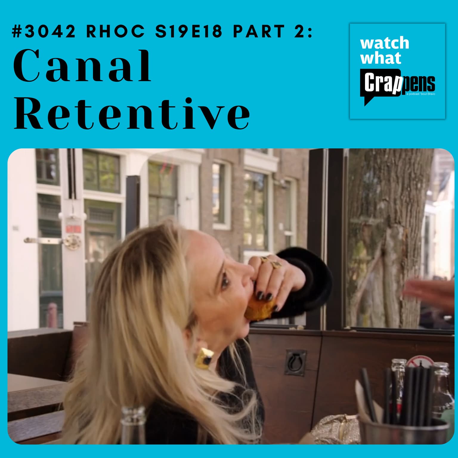 #3042 RHOC S19E18 Part 2: Canal Retentive artwork