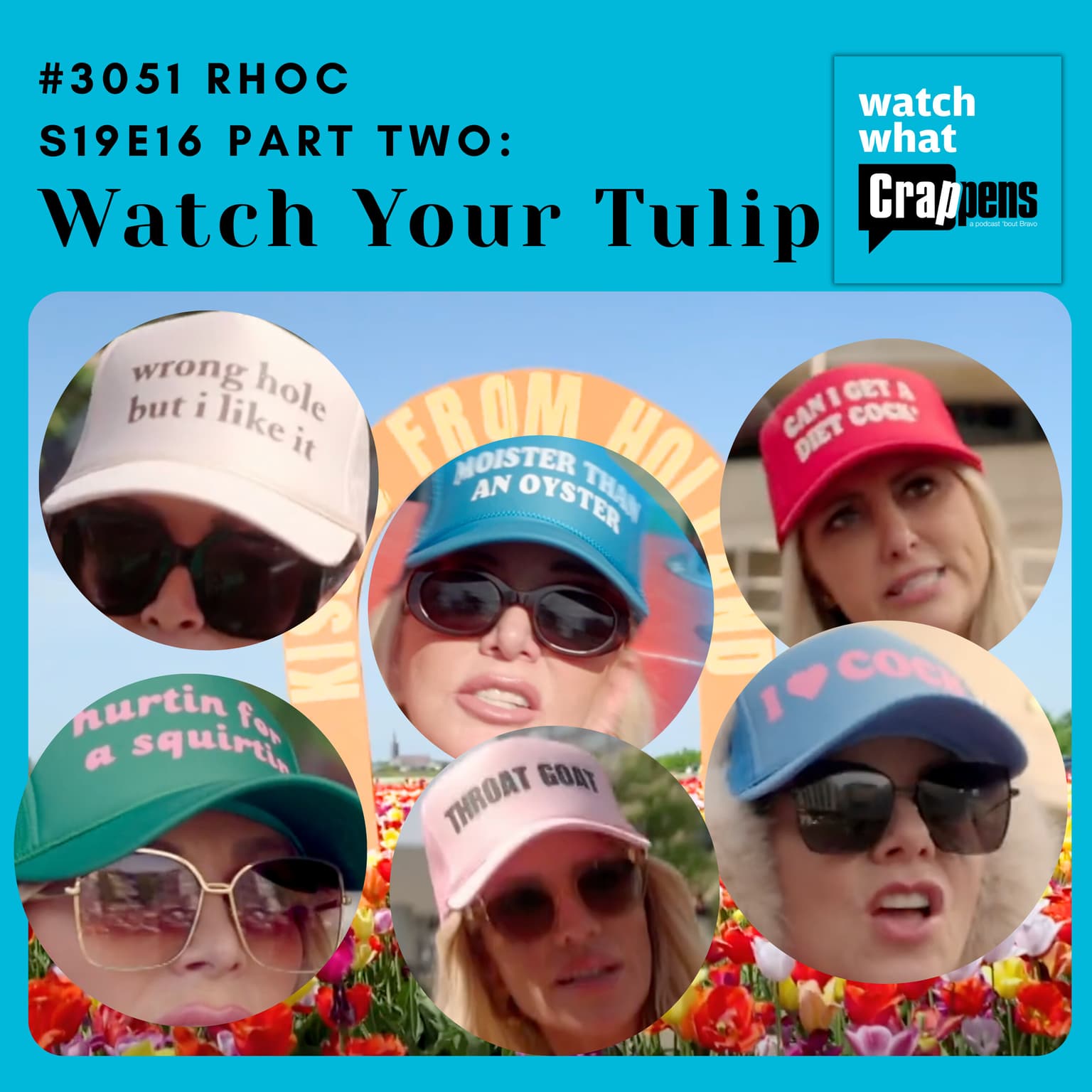 #3051 RHOC S19E16 Part Two: Watch Your Tulip artwork