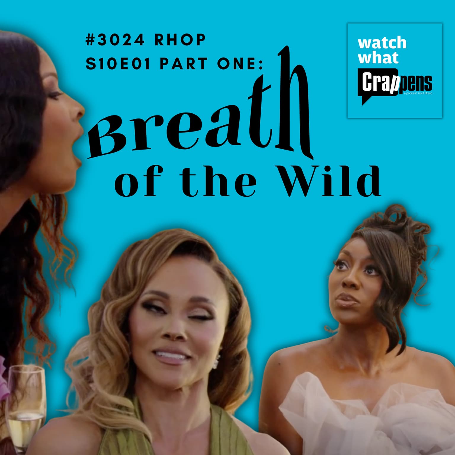#3024 RHOP S10E01 Part 1: Breath of the Wild artwork