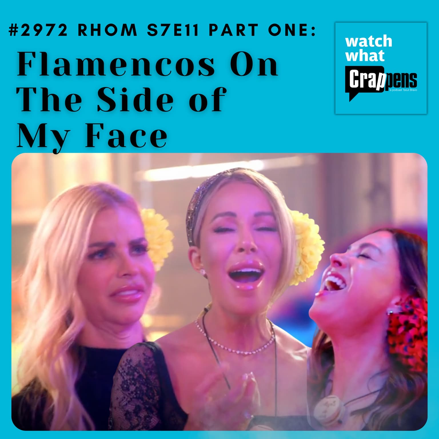 #2972 RHOM S7E11 Part One: Flamencos On The Side of My Face artwork