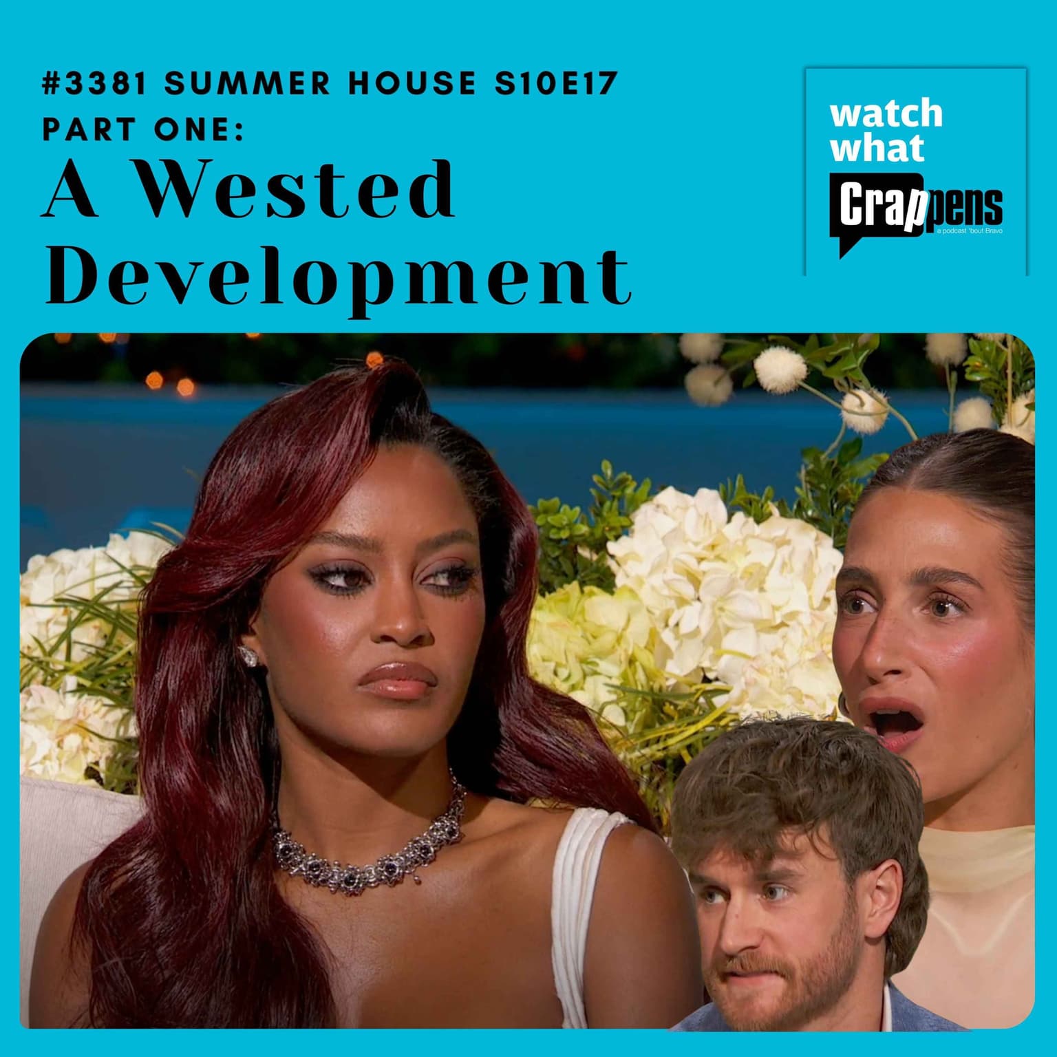 #3381 Summer House S10E17 Part One: A Wested Development artwork