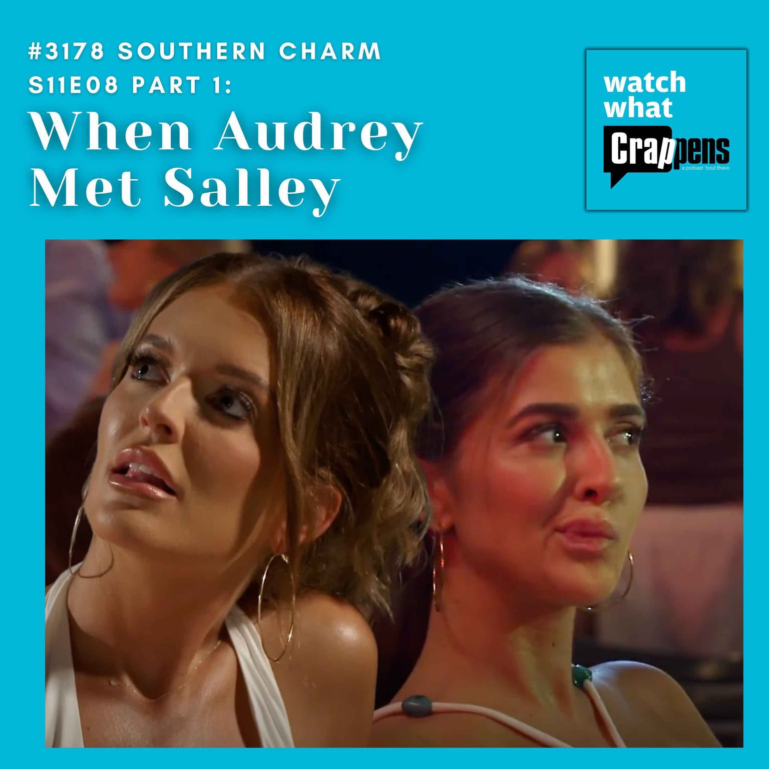 #3178 Southern Charm S11E08 Part 1:When Audrey Met Salley artwork