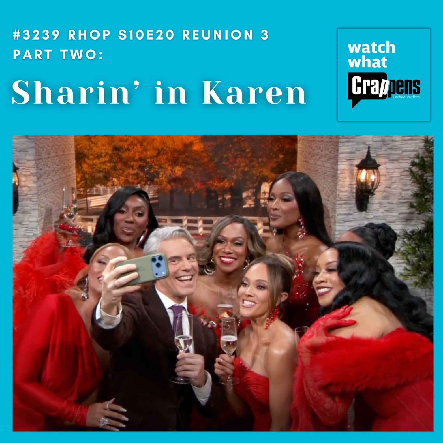 #3239 RHOP S10E20 Reunion 3 Part Two: Sharin’ is Karen artwork