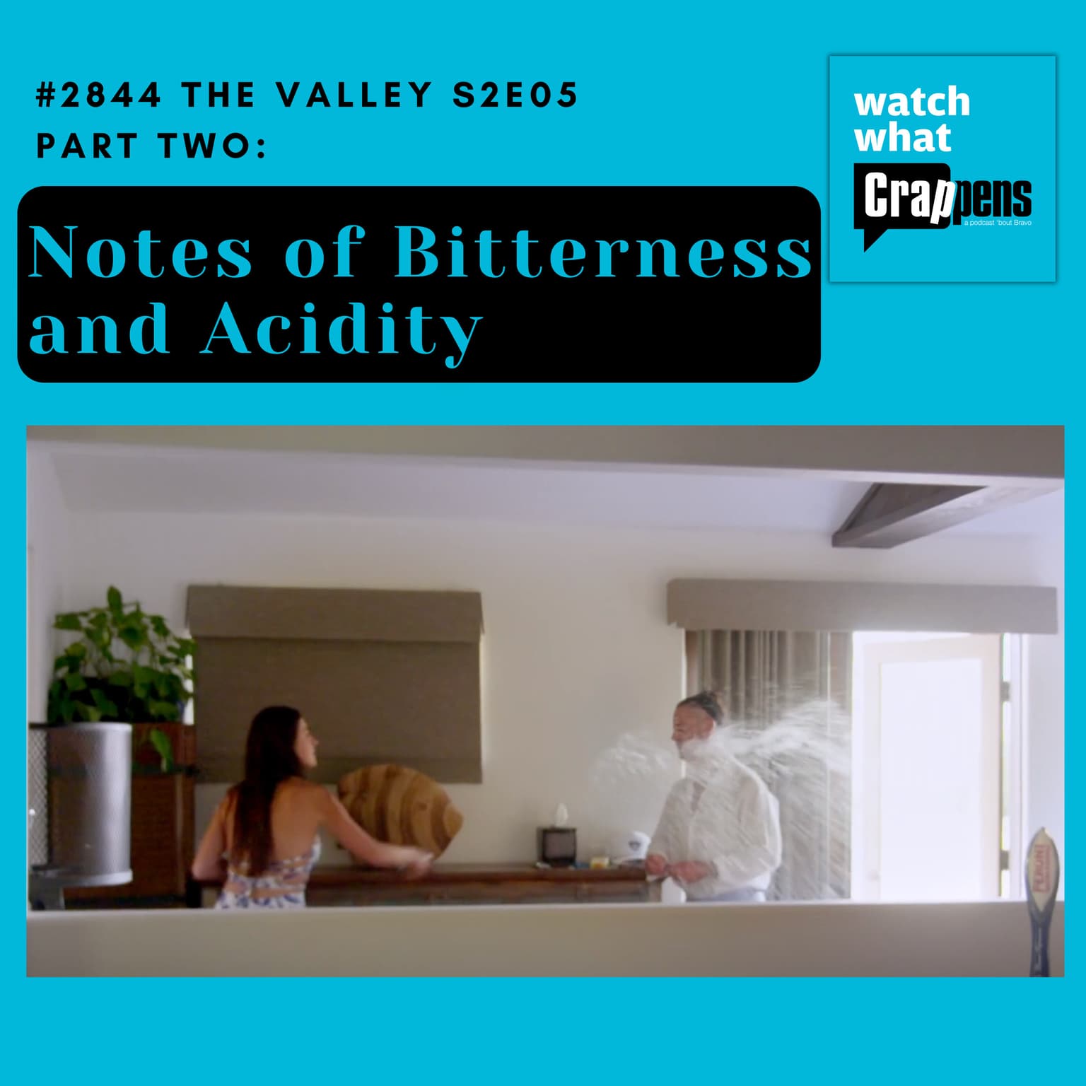 #2844 The Valley S2E05 Part Two: Notes of Bitterness and Acidity artwork