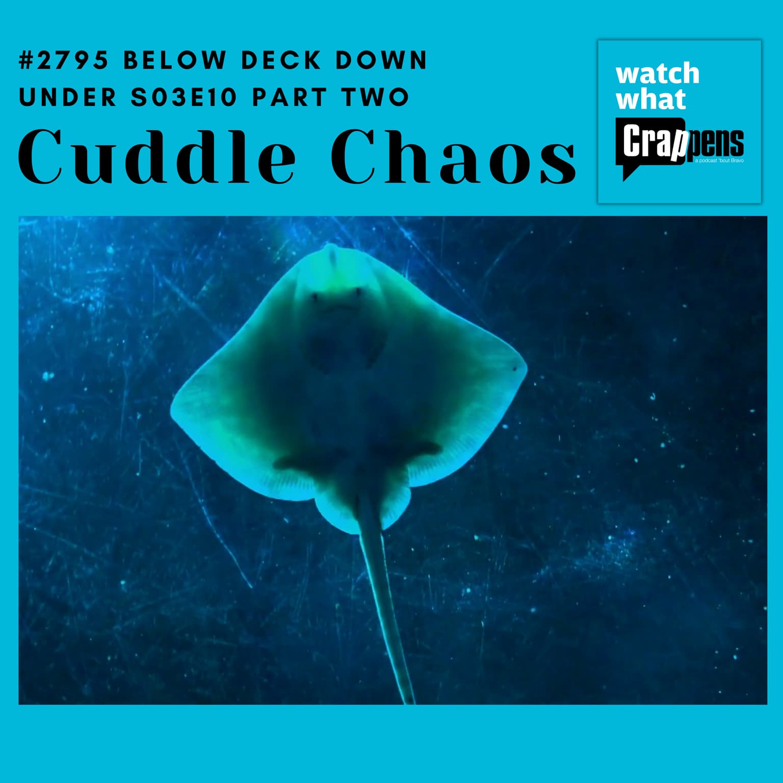 #2795 Below Deck Down Under S03E10 Part Two: Cuddle Chaos artwork