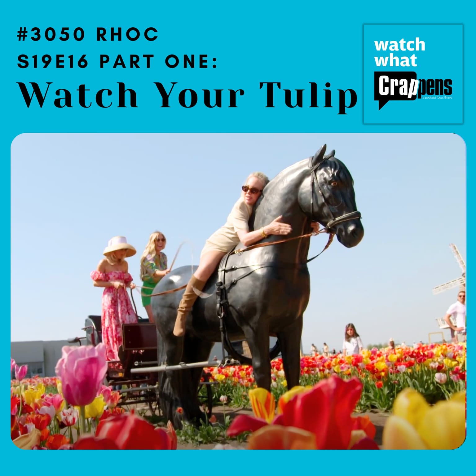 #3050 RHOC S19E16 Part One: Watch Your Tulip artwork