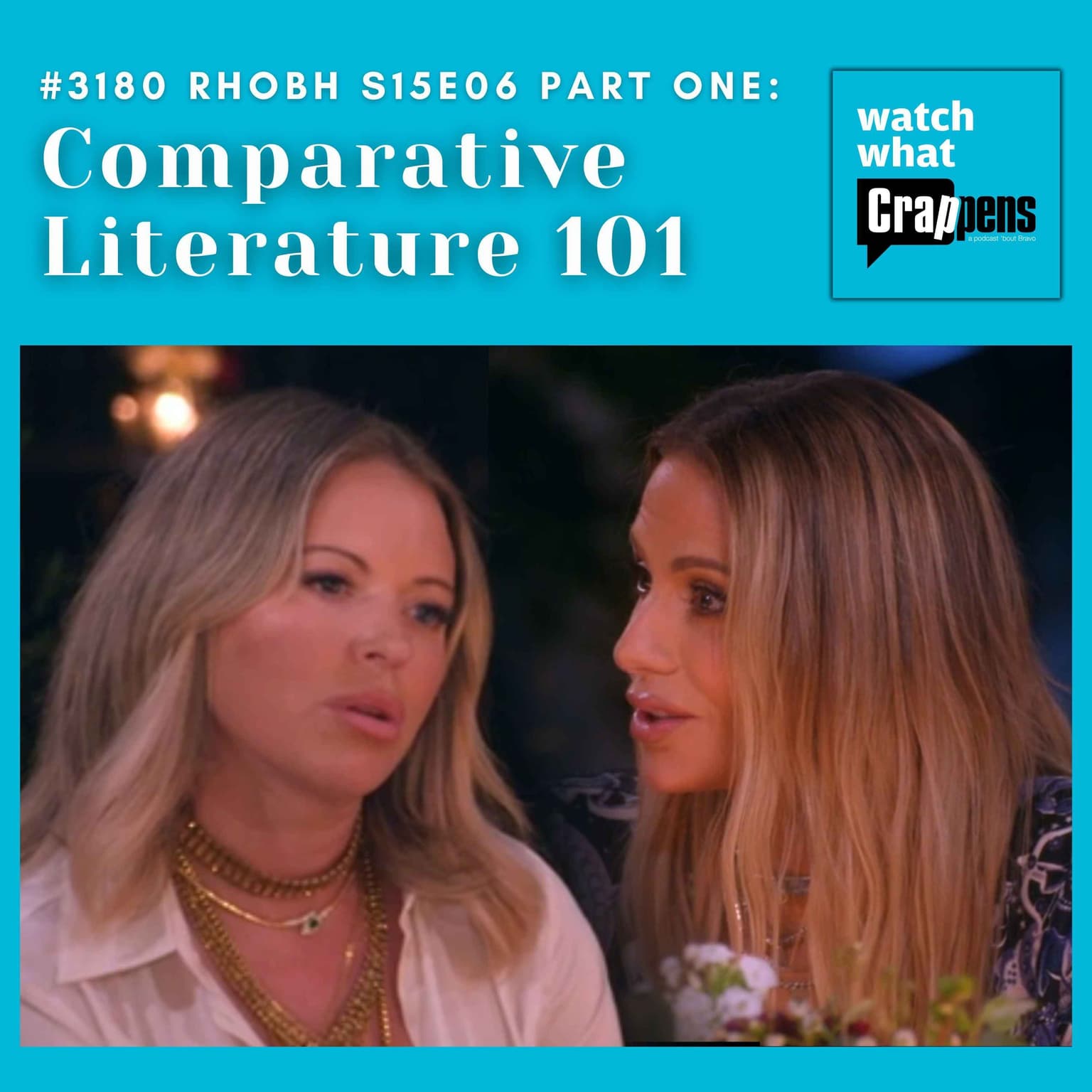 #3180 RHOBH S15E06 Part One: Comparative Literature 101 artwork