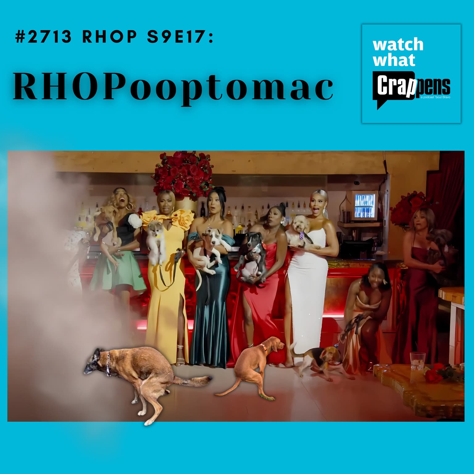 #2713 RHOP S9E17: RHOPooptomac artwork
