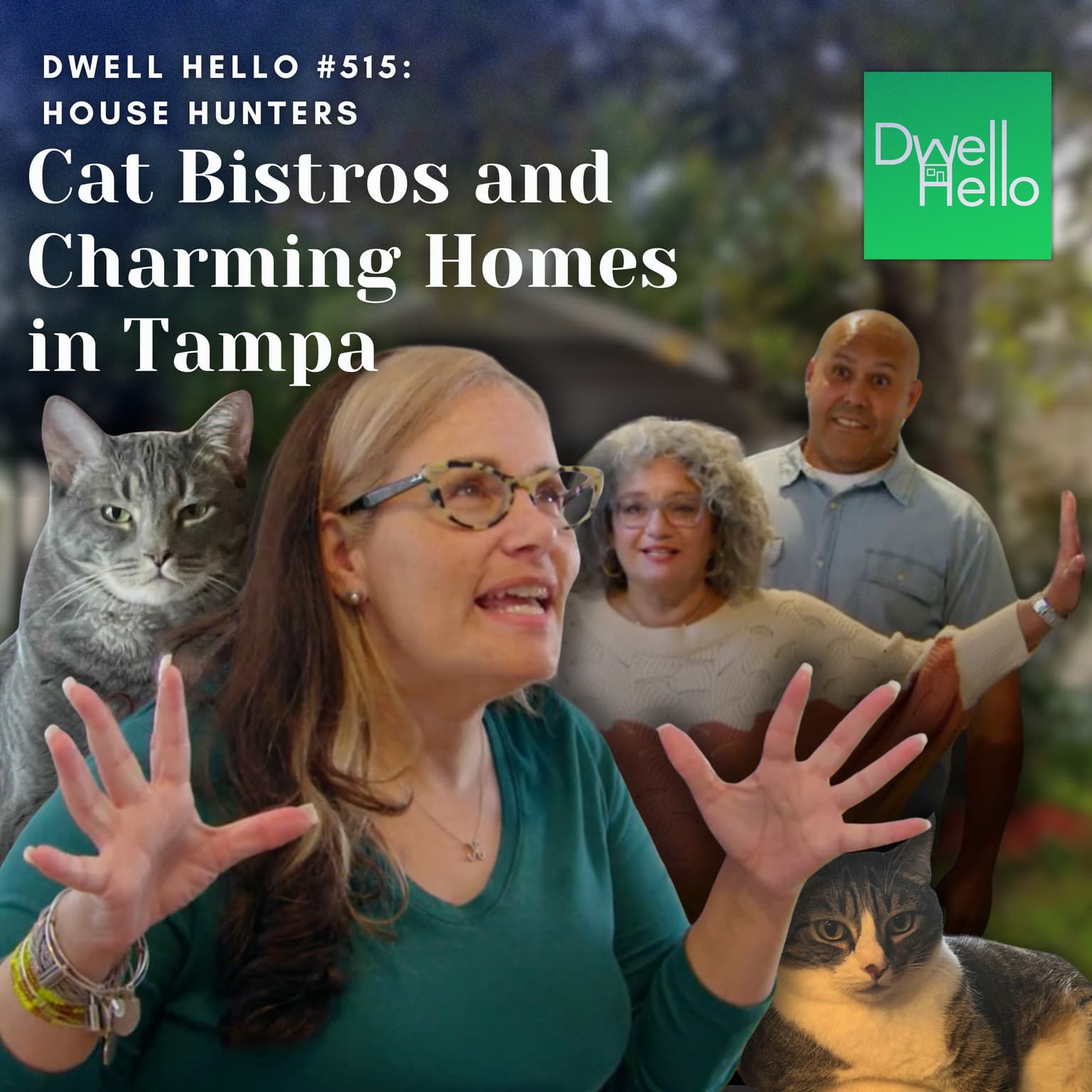 Dwell Hello #515: Cat Bistros and Charming Homes in Tampa artwork