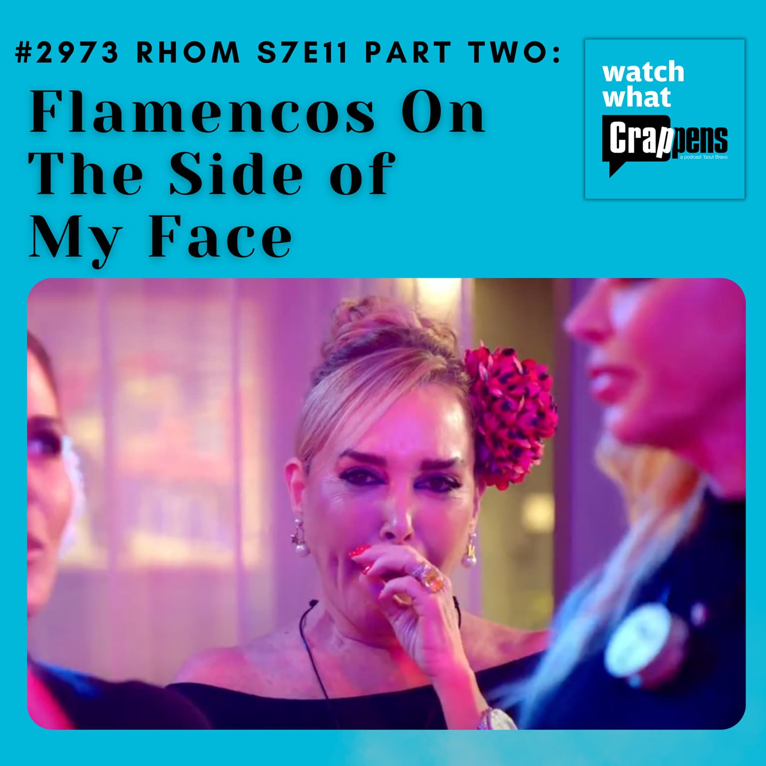#2973 RHOM S7E11 Part Two: Flamencos On The Side of My Face artwork
