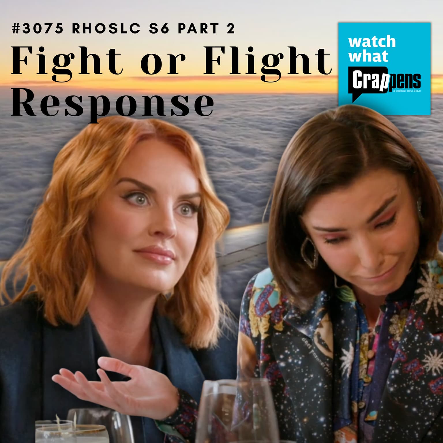 #3075 RHOSLC S609 Part 2: Fight or Flight Response artwork
