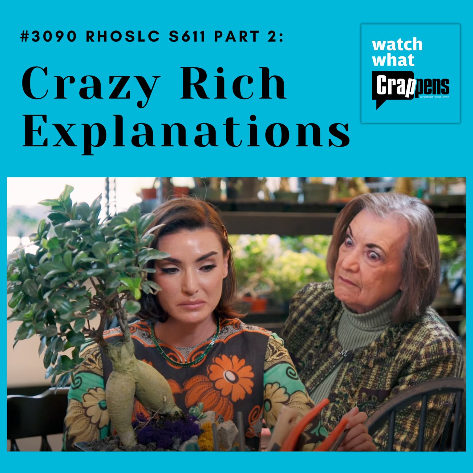 #3090 RHOSLC S611 Part Two: Crazy Rich Explanations artwork