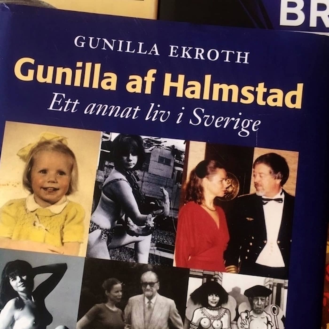 Om Gunilla af Halmstad artwork