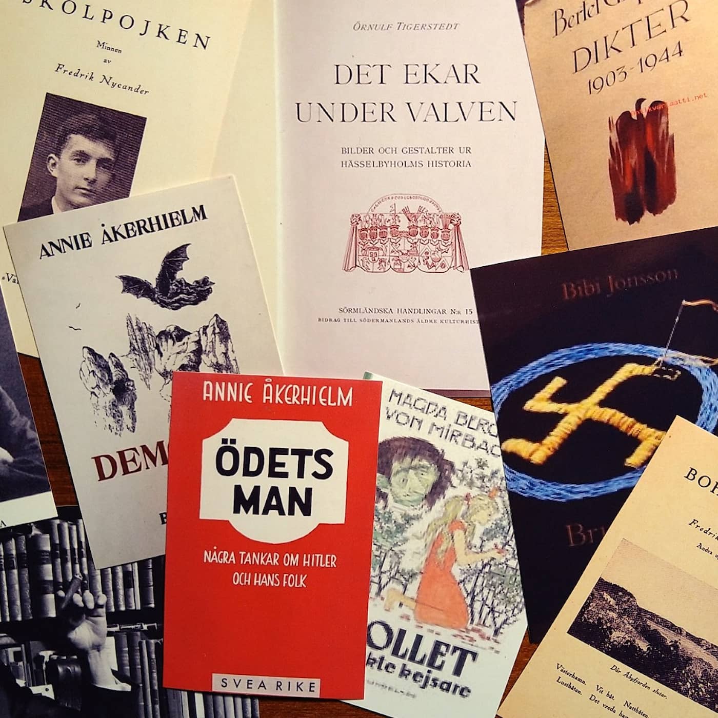 Om nazistlitteratur artwork