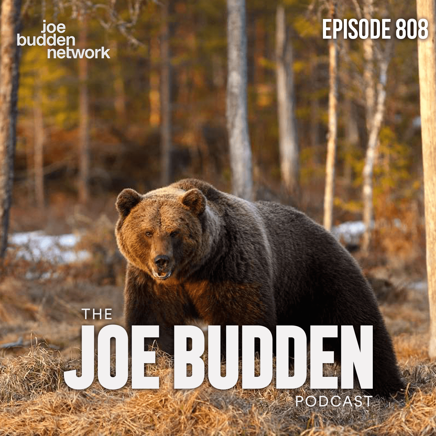Episode 808 | "Meet Me At The Police Station" artwork