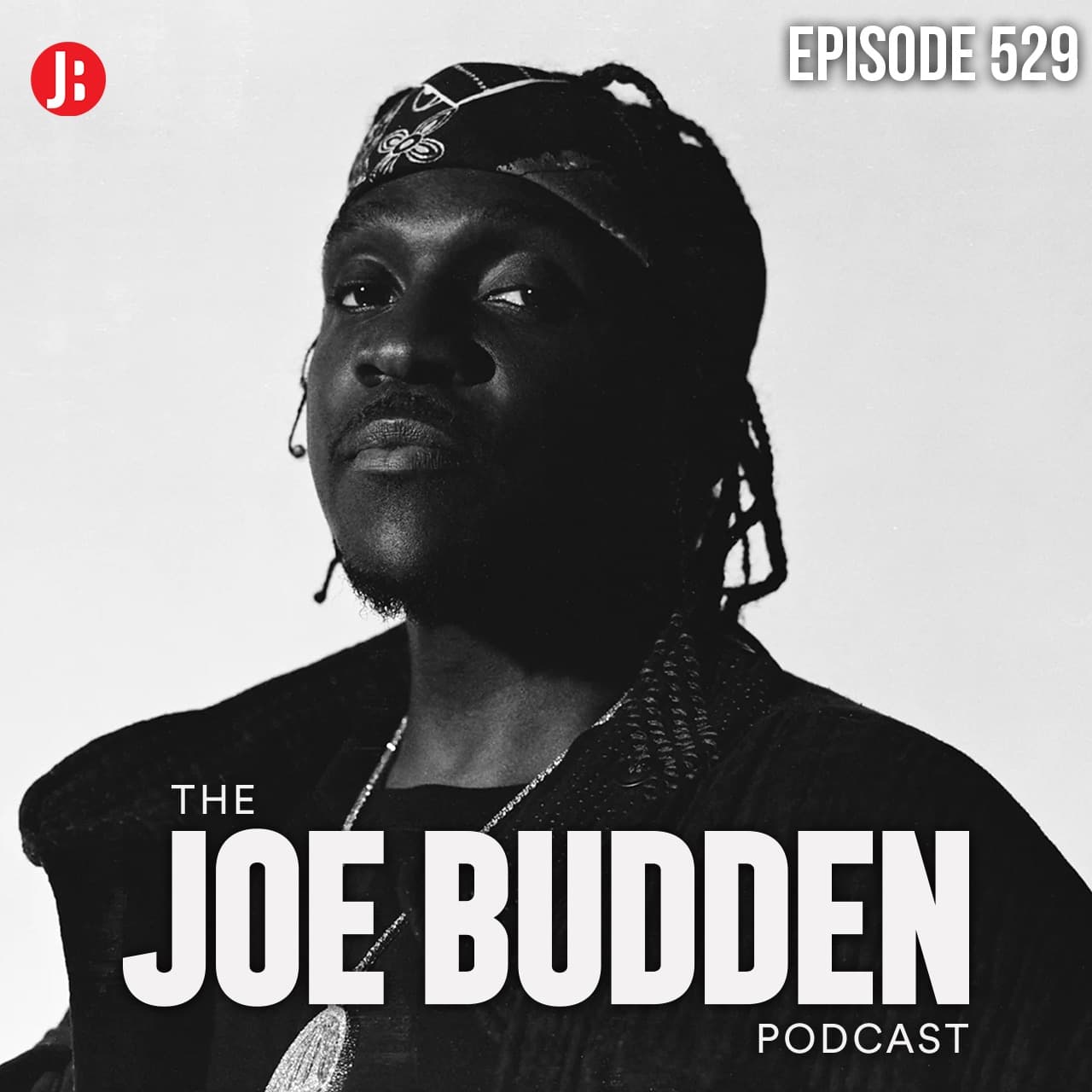 Episode 529 | "Work Harder" artwork