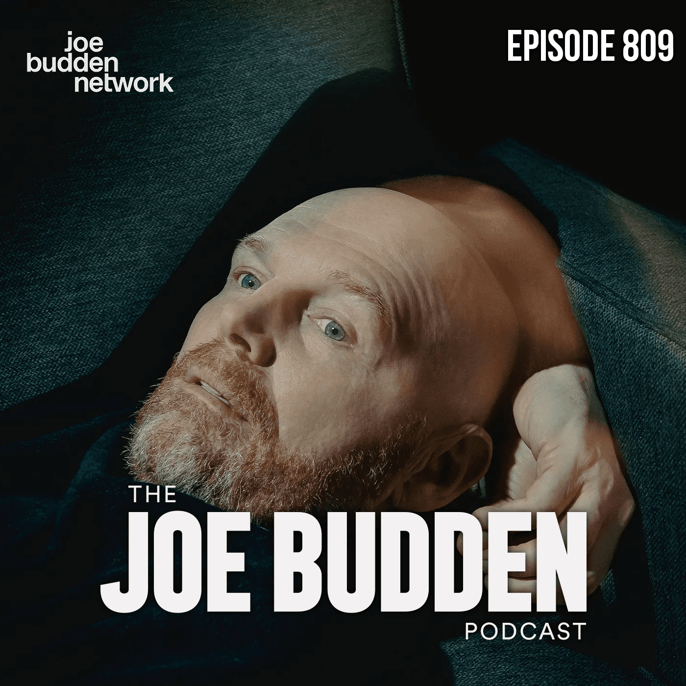 Episode 809 | "Willfully Obtuse" artwork