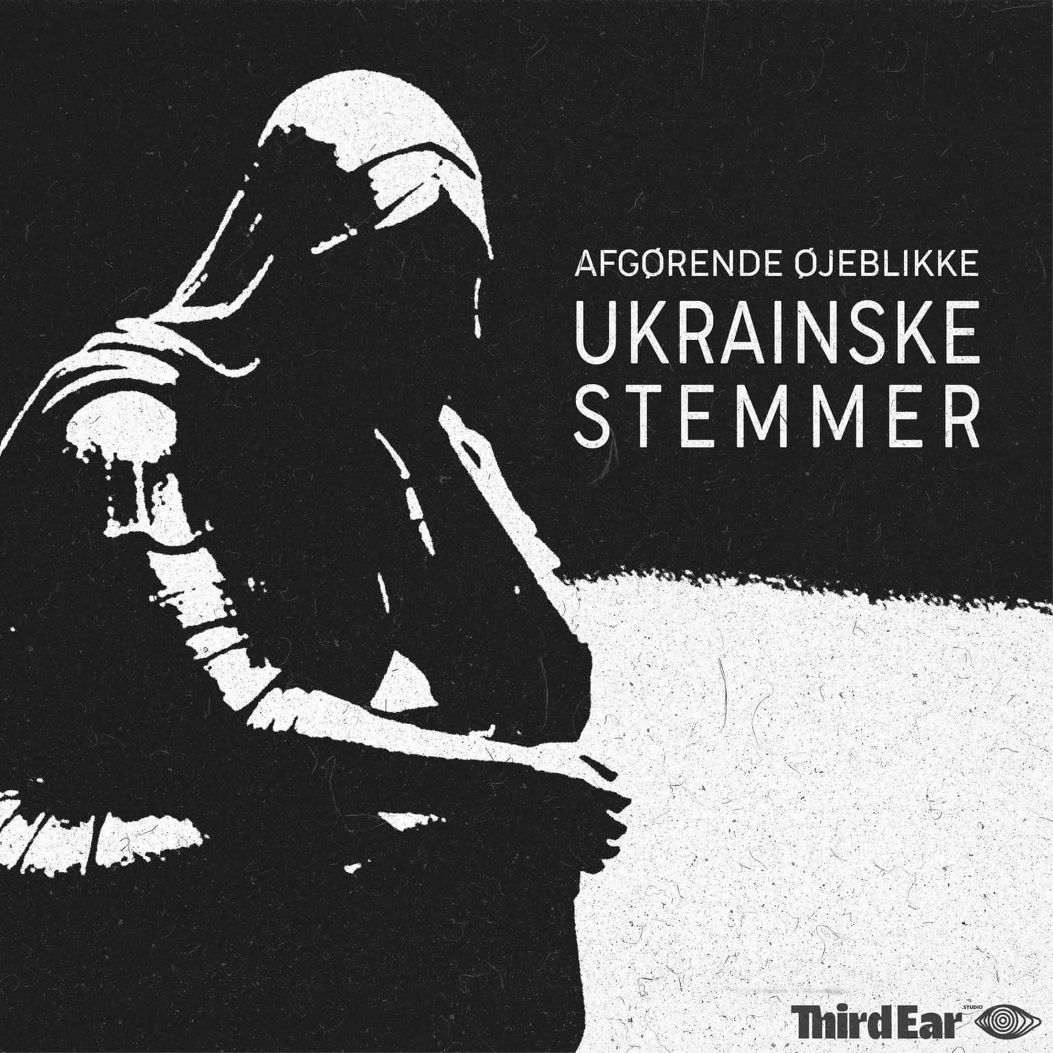 Afgørende Øjeblikke: Ukrainske stemmer artwork