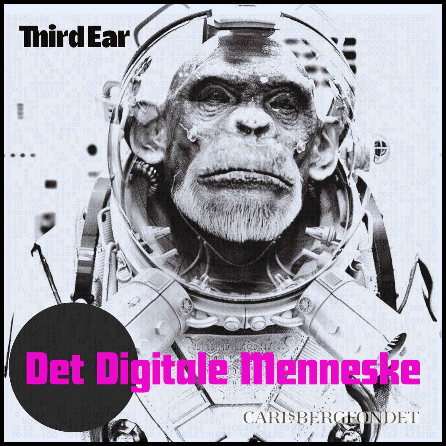 Det Digitale Menneske: Movie Star Planet artwork