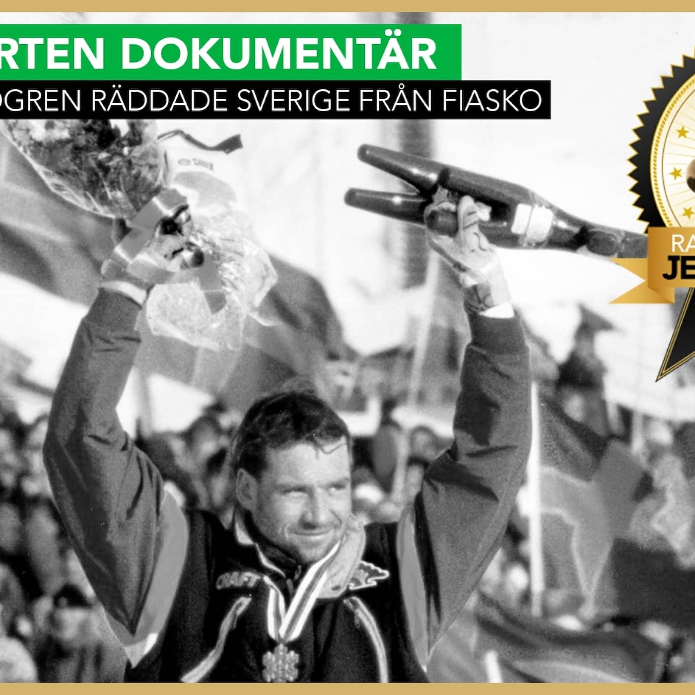 Torgny Mogren räddar Sverige från fiasko artwork