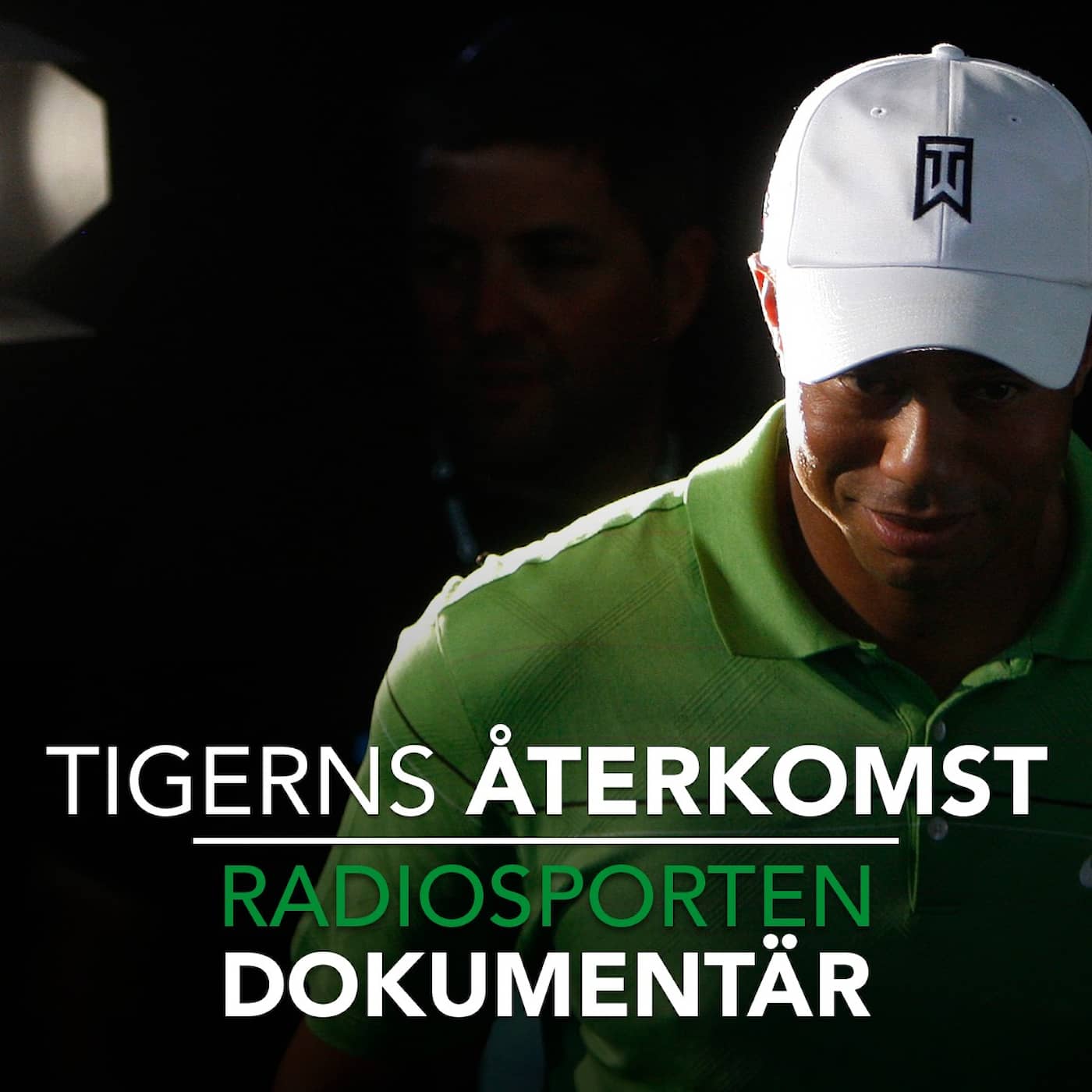 Tigerns återkomst - efter otrohet och skador artwork