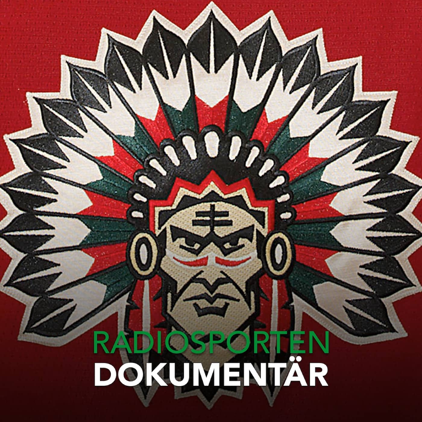 Indianer och björnar - När Sverige härmade NHL artwork