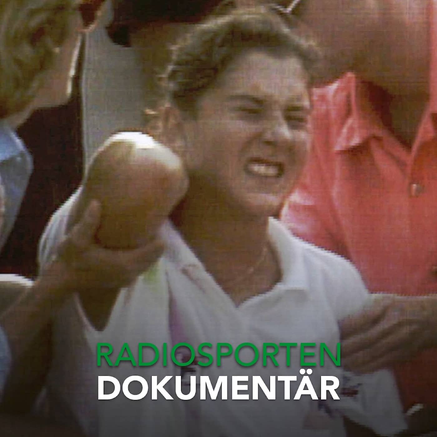 Knivattacken på tennisdrottningen artwork