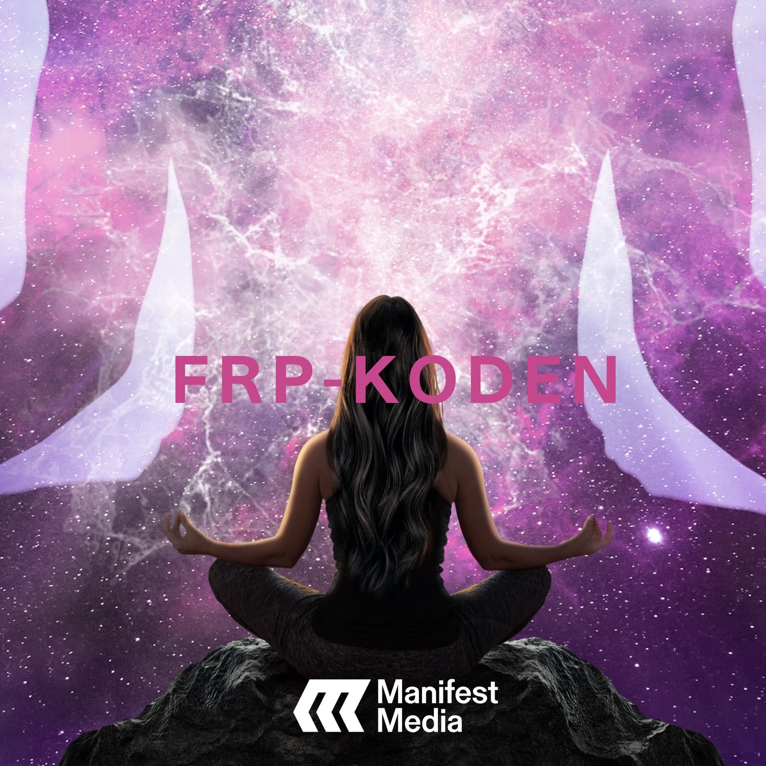FRP-KODEN: Fra yoga til MAGA artwork
