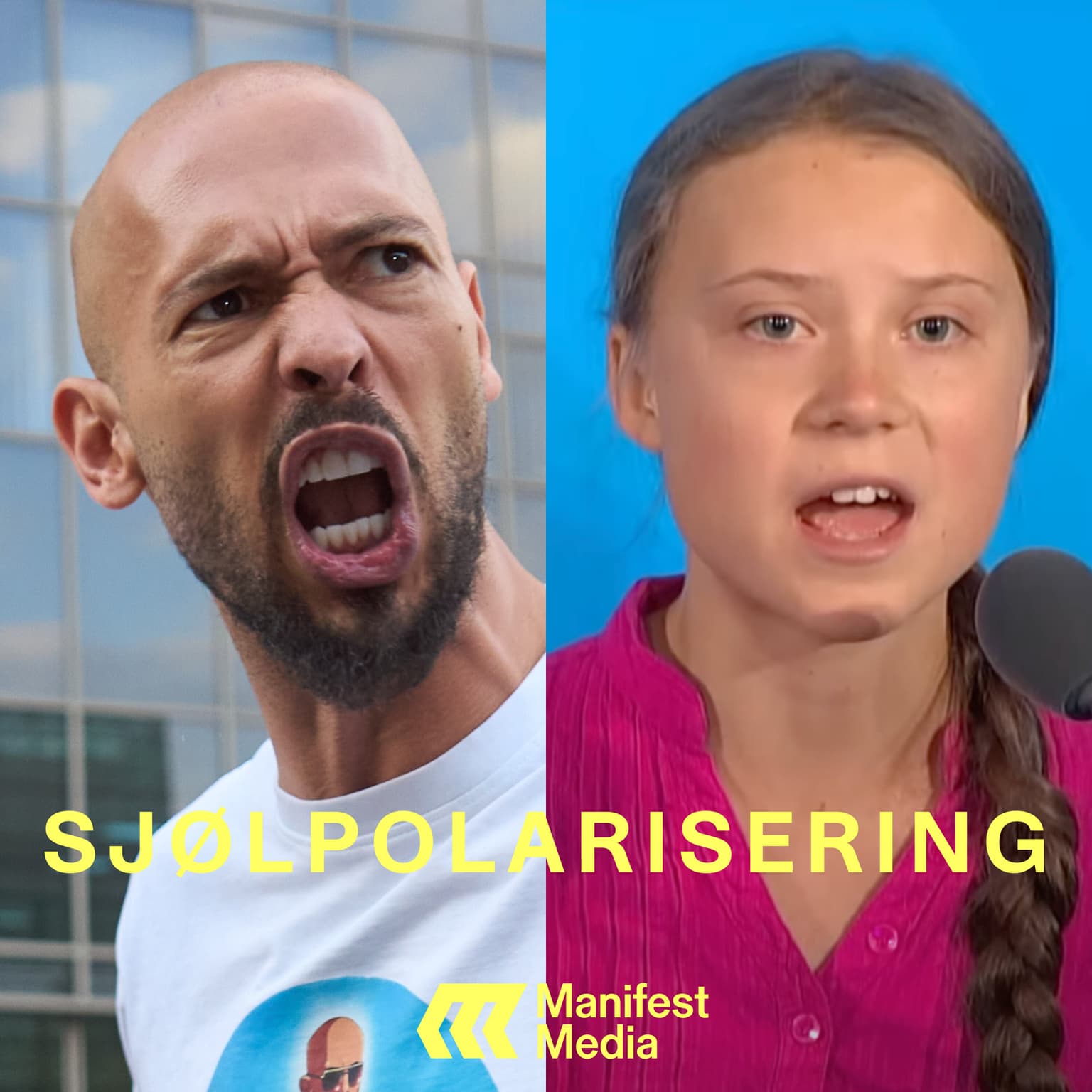 SJØLPOLARISERING#6: Kjønnskrigen artwork